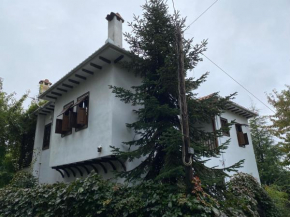Drialos Villa